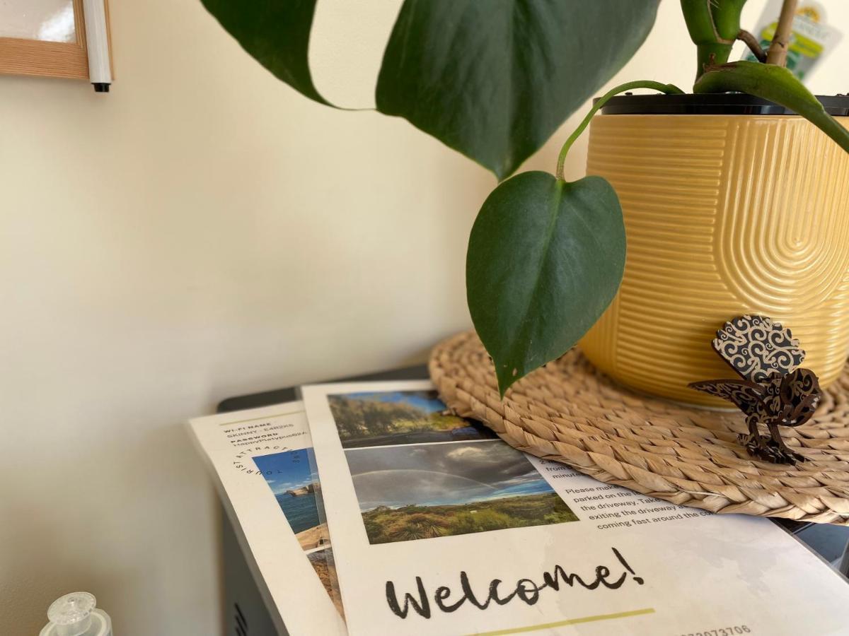 The Willow Guest Suite Ντούνεντιν Εξωτερικό φωτογραφία